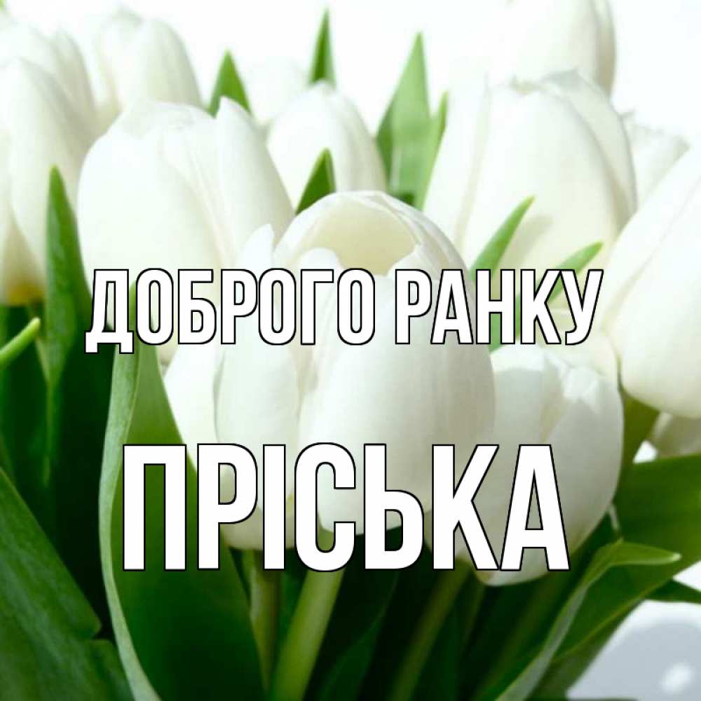 Открытка на каждый день з підписом, Пріська Доброго ранку открытки на каждый день по именам Прикольна листівка з побажанням онлайн скачати безкоштовно 