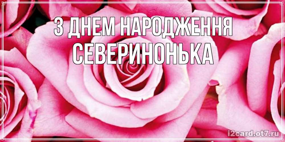 Открытка на каждый день з підписом, Северинонька З Днем народження открытка с розовой розой на день рождения Прикольна листівка з побажанням онлайн скачати безкоштовно 