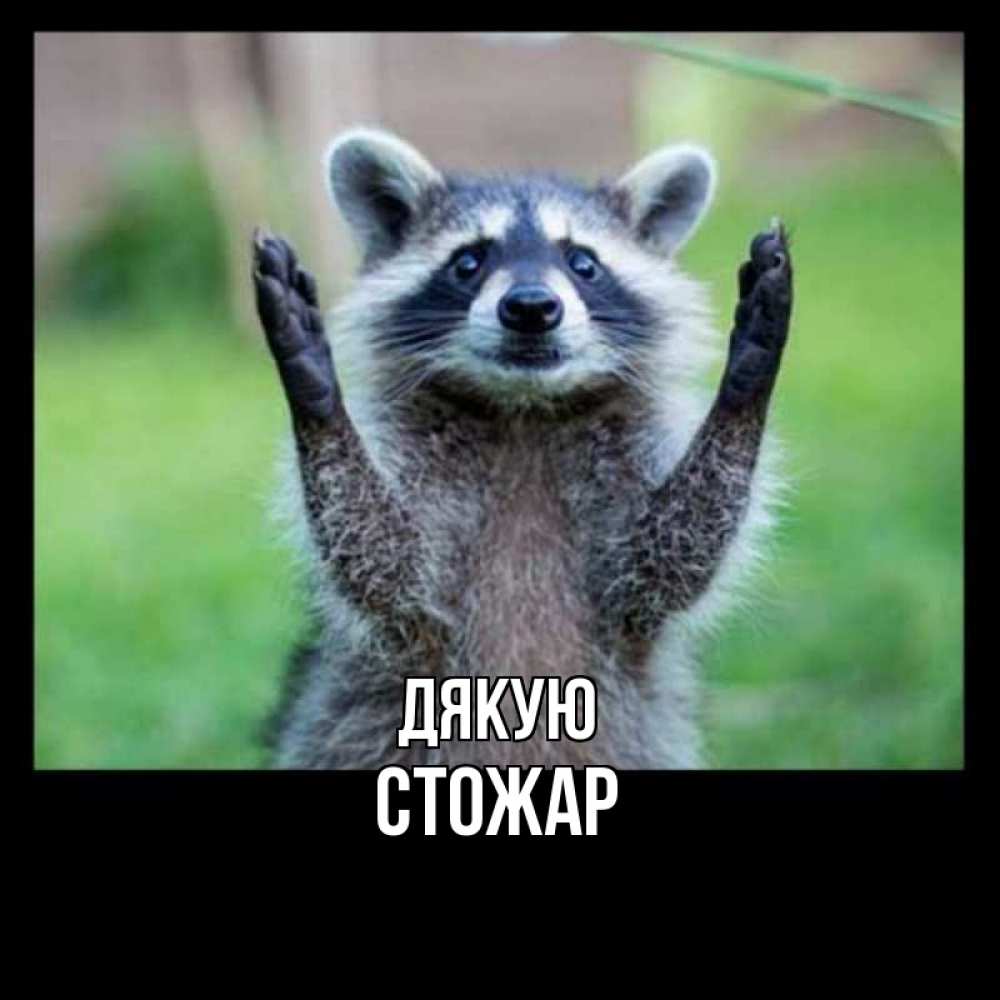 Открытка на каждый день з підписом, Стожар Дякую милые животные Прикольна листівка з побажанням онлайн скачати безкоштовно 