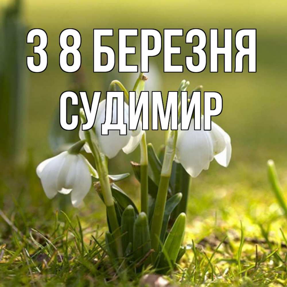 Открытка на каждый день з підписом, Судимир З 8 БЕРЕЗНЯ ранние цветы 2 Прикольна листівка з побажанням онлайн скачати безкоштовно 