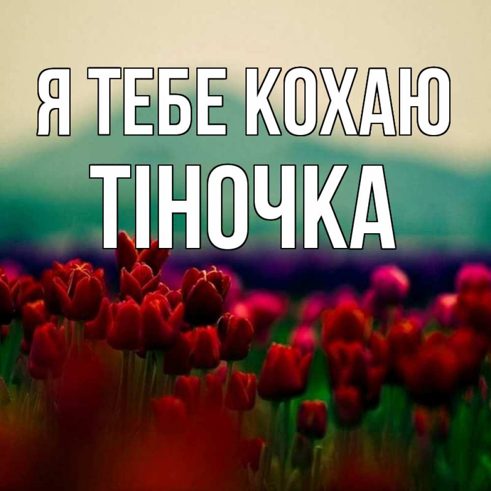 Открытка на каждый день з підписом, Тіночка Я тебе кохаю тюльпаны 4 Прикольна листівка з побажанням онлайн скачати безкоштовно 