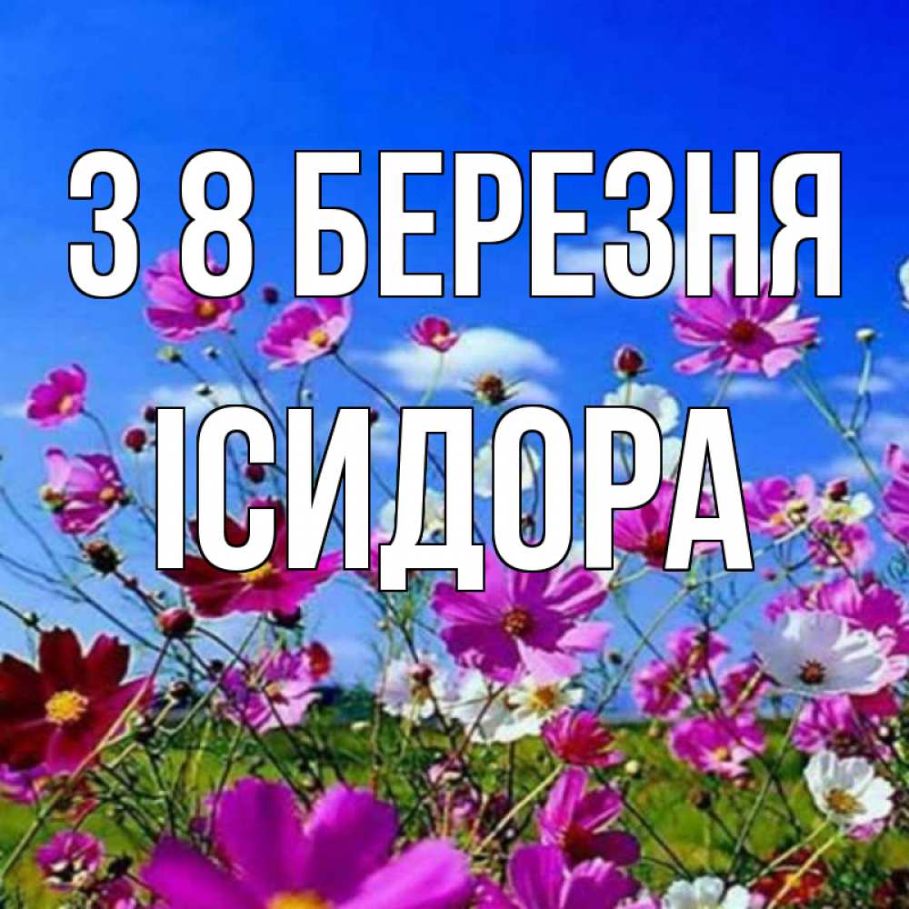 Открытка на каждый день з підписом, Ісидора З 8 БЕРЕЗНЯ цветы Прикольна листівка з побажанням онлайн скачати безкоштовно 