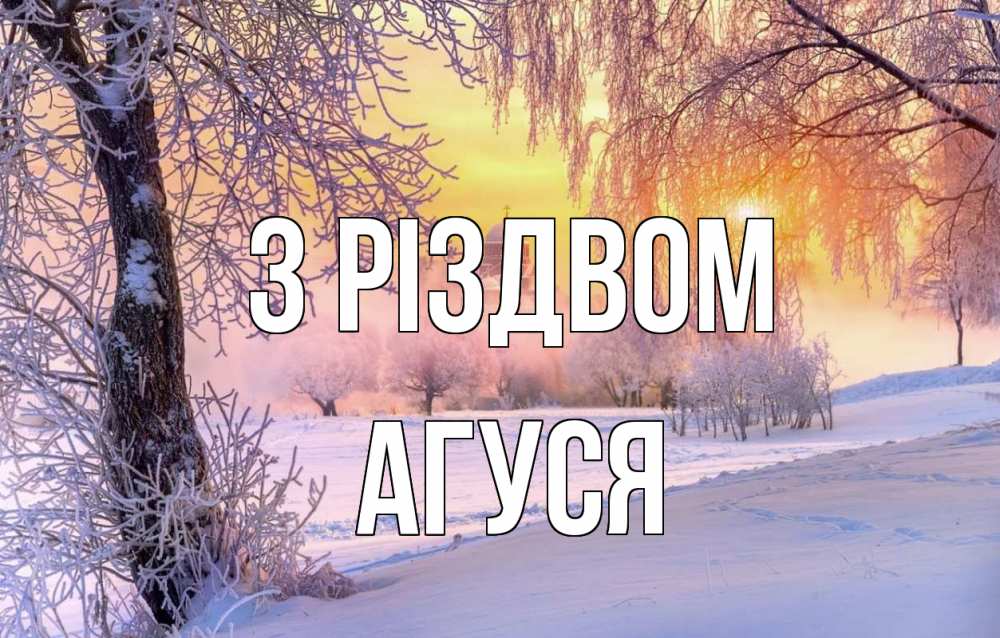 Открытка на каждый день з підписом, Агуся З Різдвом рождество, лес, зима 1 Прикольна листівка з побажанням онлайн скачати безкоштовно 