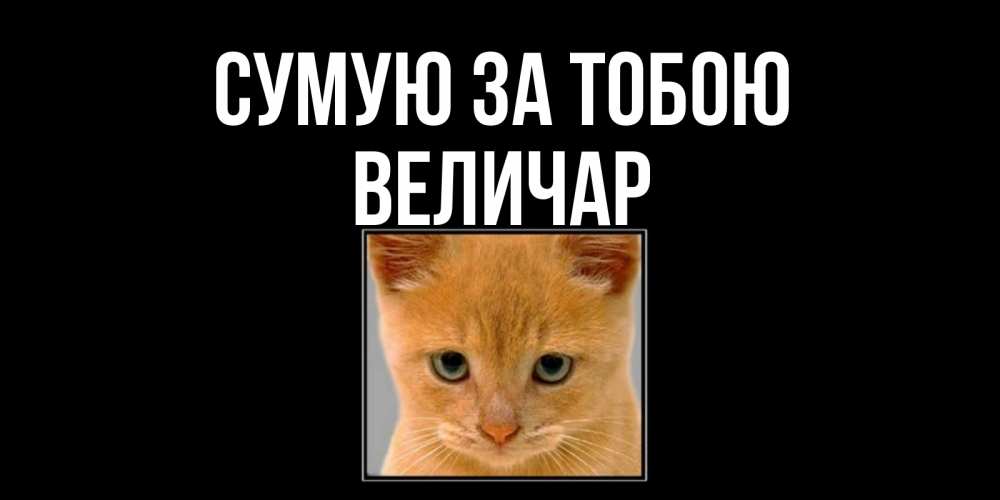 Открытка на каждый день з підписом, Величар Сумую за тобою открытки рыжий котенок скучает по тебе Прикольна листівка з побажанням онлайн скачати безкоштовно 