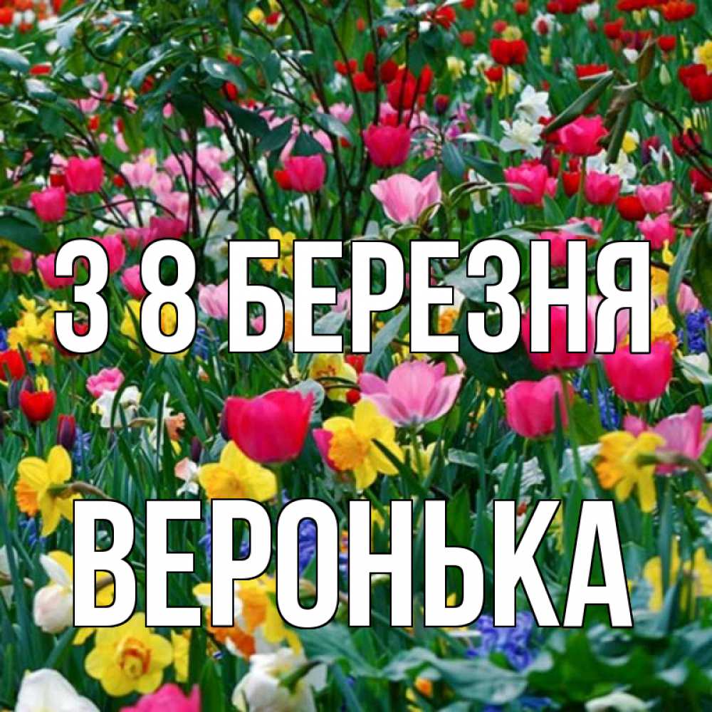 Открытка на каждый день з підписом, Веронька З 8 БЕРЕЗНЯ с международным женским днем поздравления для женщины Прикольна листівка з побажанням онлайн скачати безкоштовно 