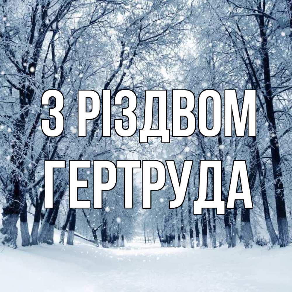 Открытка на каждый день з підписом, Гертруда З Різдвом снег, лес, парк Прикольна листівка з побажанням онлайн скачати безкоштовно 