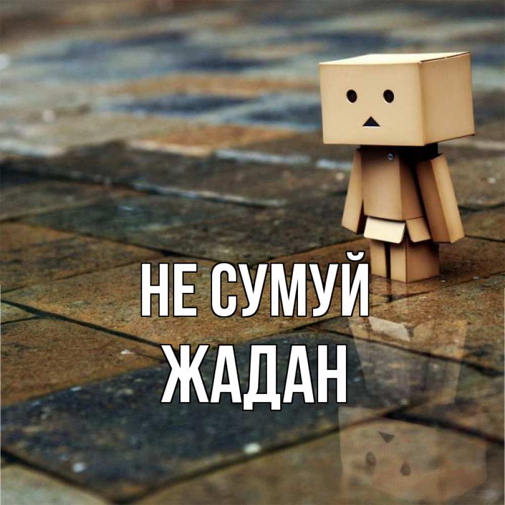 Открытка на каждый день з підписом, Жадан Не сумуй Стив Прикольна листівка з побажанням онлайн скачати безкоштовно 