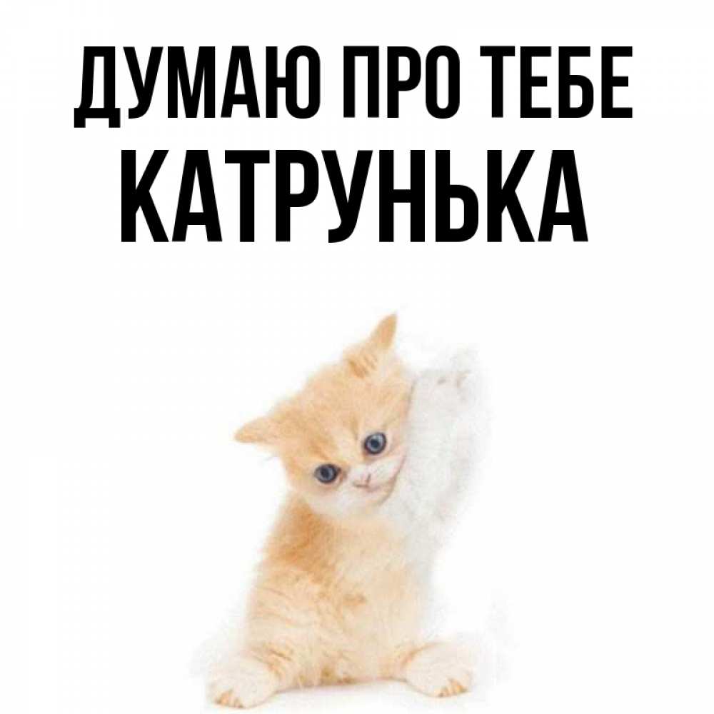 Открытка на каждый день з підписом, Катрунька Думаю про тебе зверушки и милота Прикольна листівка з побажанням онлайн скачати безкоштовно 