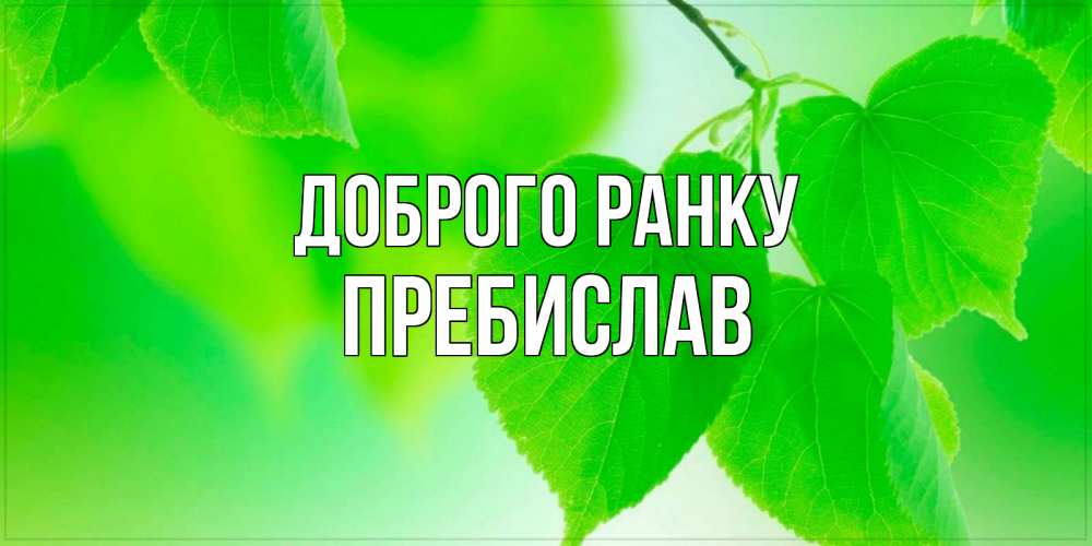 Открытка на каждый день з підписом, Пребислав Доброго ранку доброе утро с березовыми листьями Прикольна листівка з побажанням онлайн скачати безкоштовно 