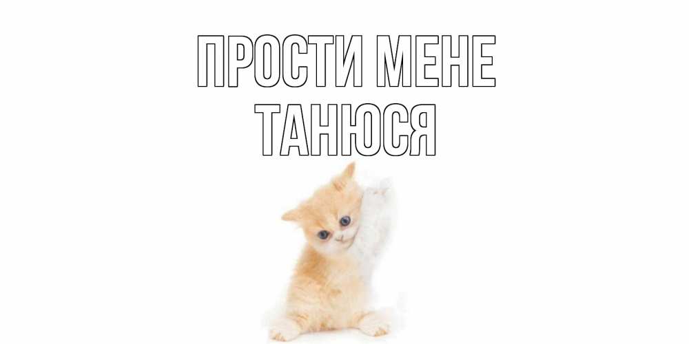 Открытка на каждый день з підписом, Танюся Прости мене кот Прикольна листівка з побажанням онлайн скачати безкоштовно 