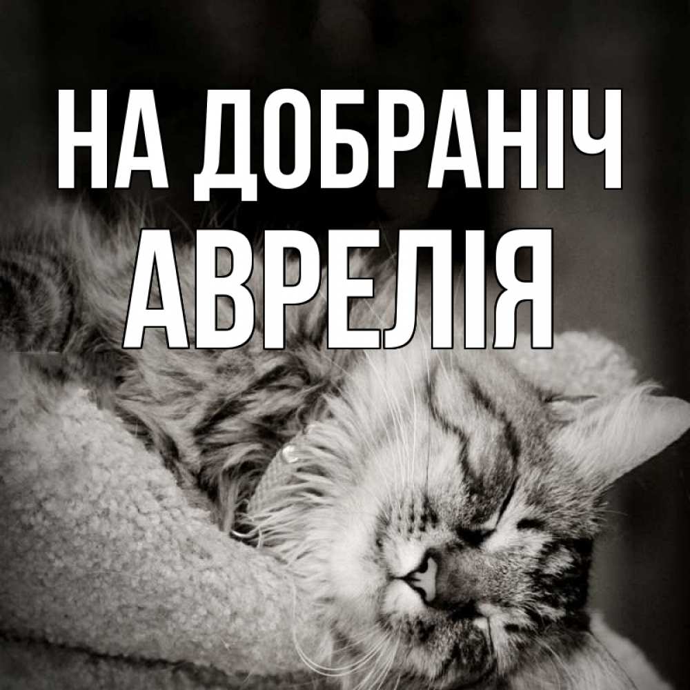 Открытка на каждый день з підписом, Аврелія На добраніч котярик пушистый Прикольна листівка з побажанням онлайн скачати безкоштовно 