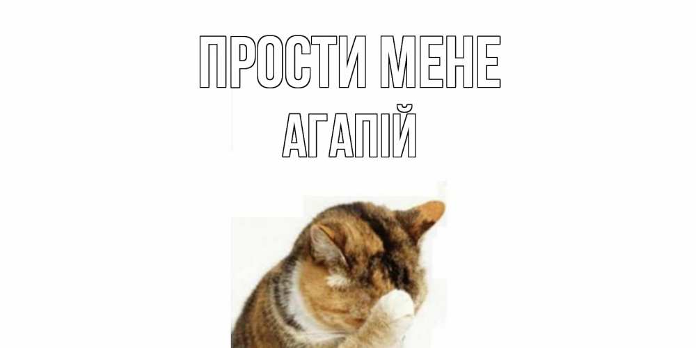 Открытка на каждый день з підписом, Агапій Прости мене кот Прикольна листівка з побажанням онлайн скачати безкоштовно 