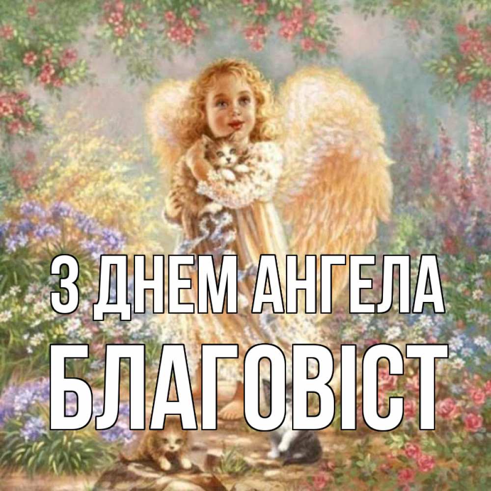 Открытка на каждый день з підписом, Благовіст З Днем ангела держит котенка Прикольна листівка з побажанням онлайн скачати безкоштовно 
