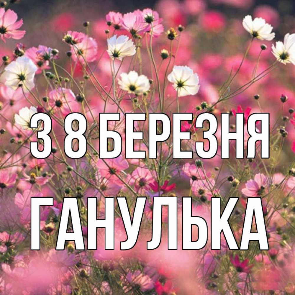Открытка на каждый день з підписом, Ганулька З 8 БЕРЕЗНЯ красиво 1 Прикольна листівка з побажанням онлайн скачати безкоштовно 