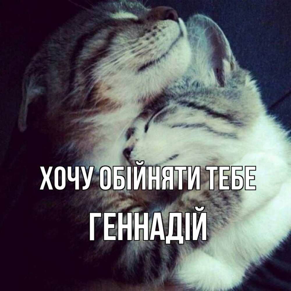 Открытка на каждый день з підписом, Геннадій Хочу обійняти тебе полосатики Прикольна листівка з побажанням онлайн скачати безкоштовно 