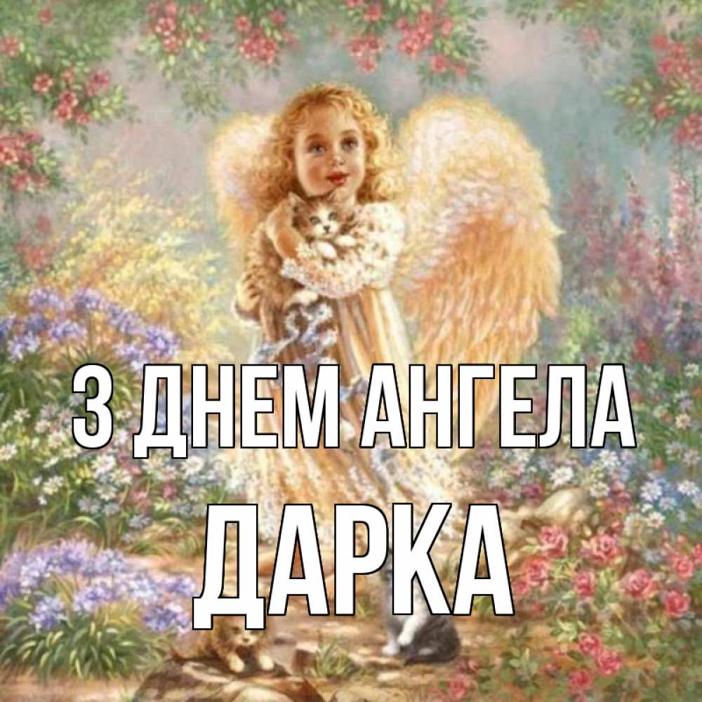 Открытка на каждый день з підписом, Дарка З Днем ангела держит котенка Прикольна листівка з побажанням онлайн скачати безкоштовно 