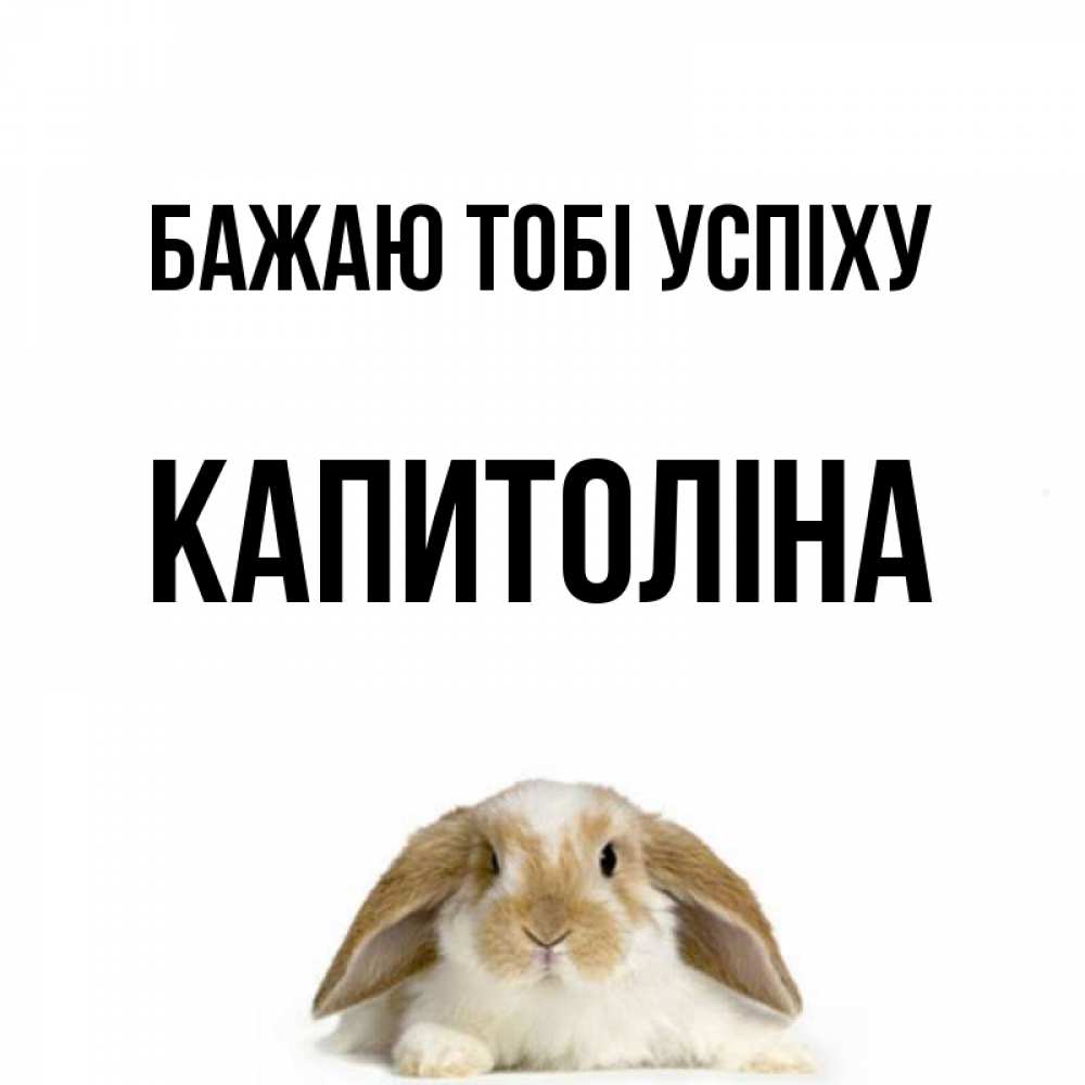 Открытка на каждый день з підписом, Капитоліна Бажаю тобі успіху открытки с произвольным текстом который можно вставить в открытку и создать ее самостоятельно бесплатно онлайн Прикольна листівка з побажанням онлайн скачати безкоштовно 