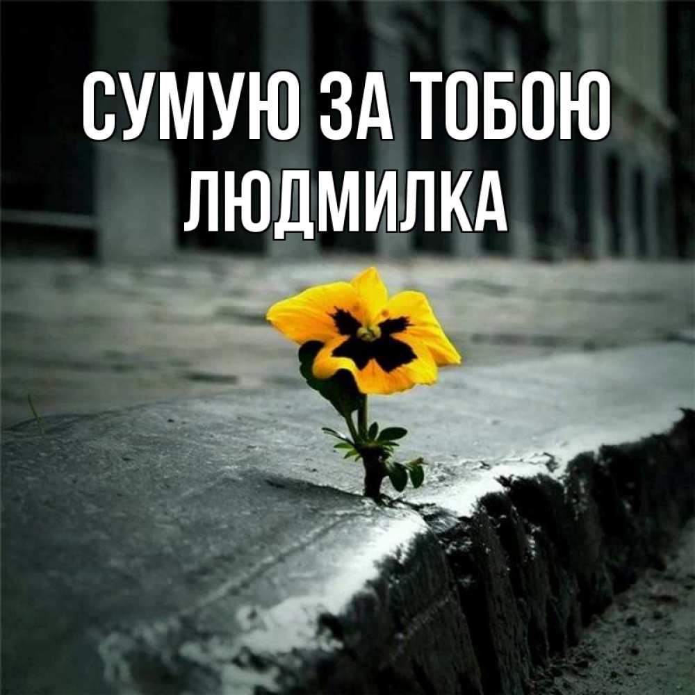 Открытка на каждый день з підписом, Людмилка Сумую за тобою надеюсь будет лучше Прикольна листівка з побажанням онлайн скачати безкоштовно 