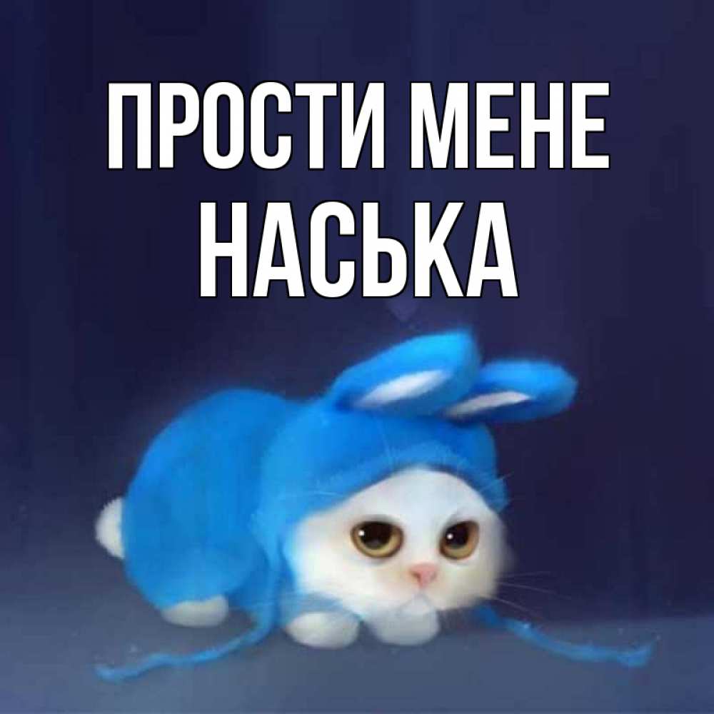 Открытка на каждый день з підписом, Наська Прости мене невинный котозай просит прощения Прикольна листівка з побажанням онлайн скачати безкоштовно 
