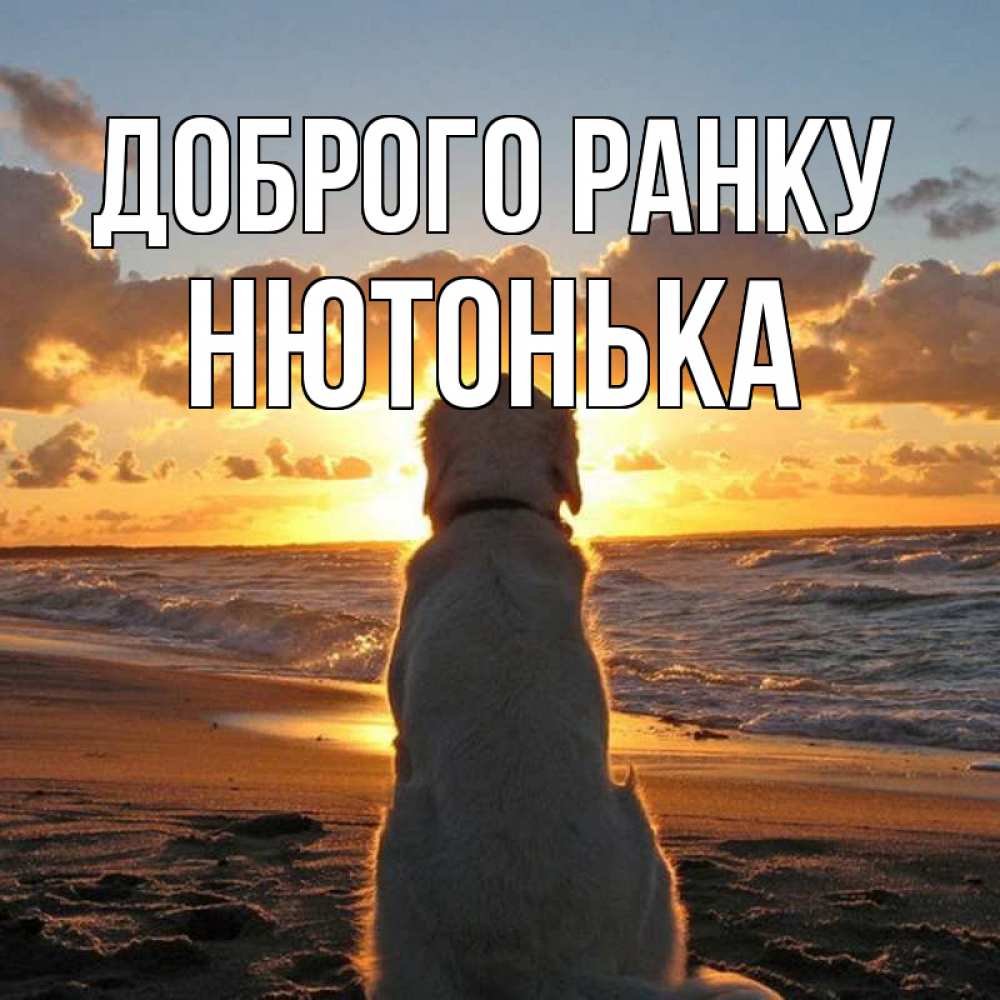 Открытка на каждый день з підписом, Нютонька Доброго ранку восход солнца Прикольна листівка з побажанням онлайн скачати безкоштовно 