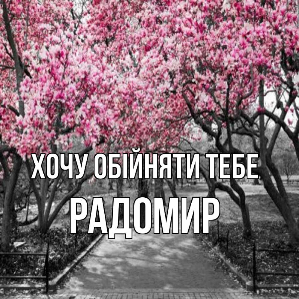 Открытка на каждый день з підписом, Радомир Хочу обійняти тебе обработанное фото Прикольна листівка з побажанням онлайн скачати безкоштовно 