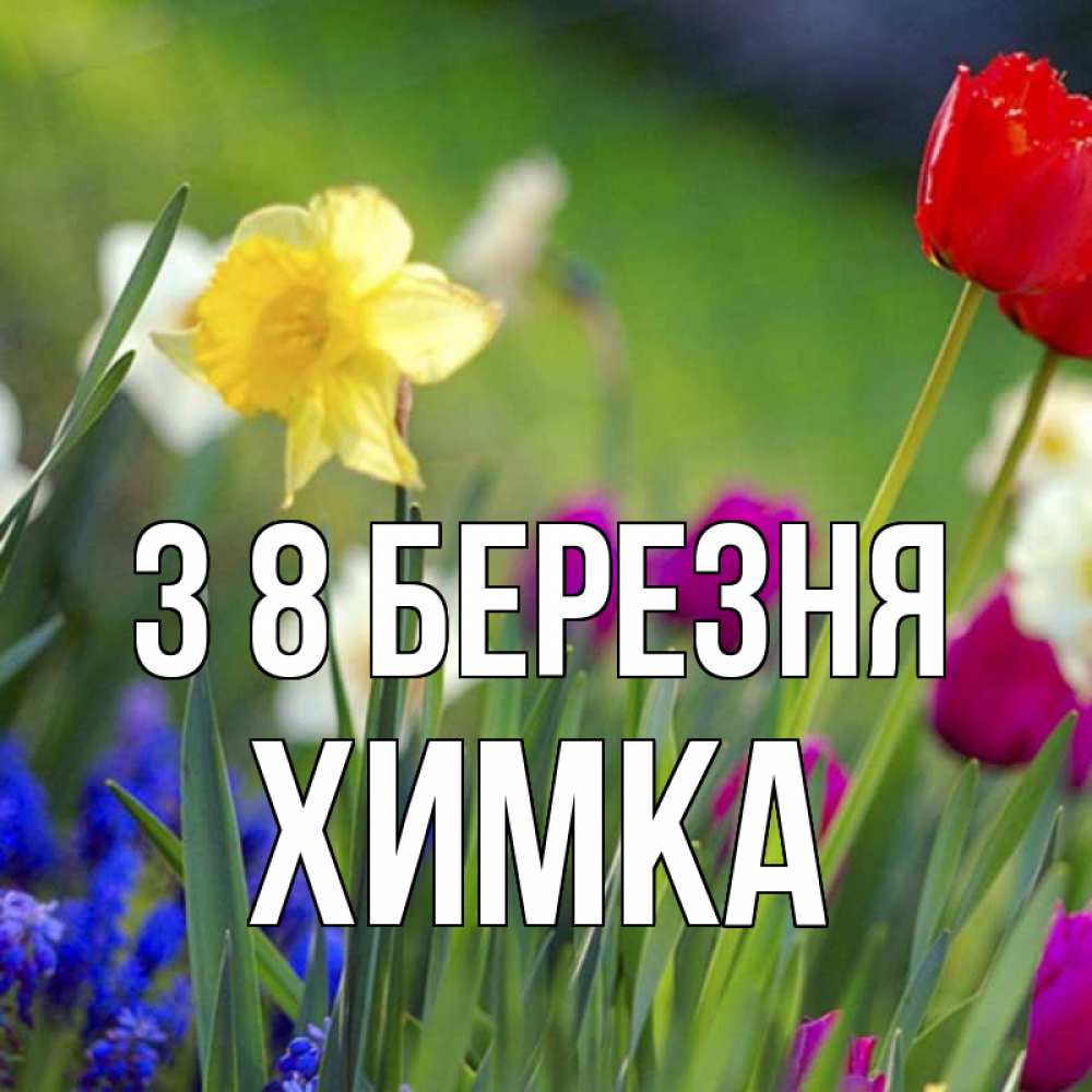 Открытка на каждый день з підписом, Химка З 8 БЕРЕЗНЯ международный женский день 3 Прикольна листівка з побажанням онлайн скачати безкоштовно 