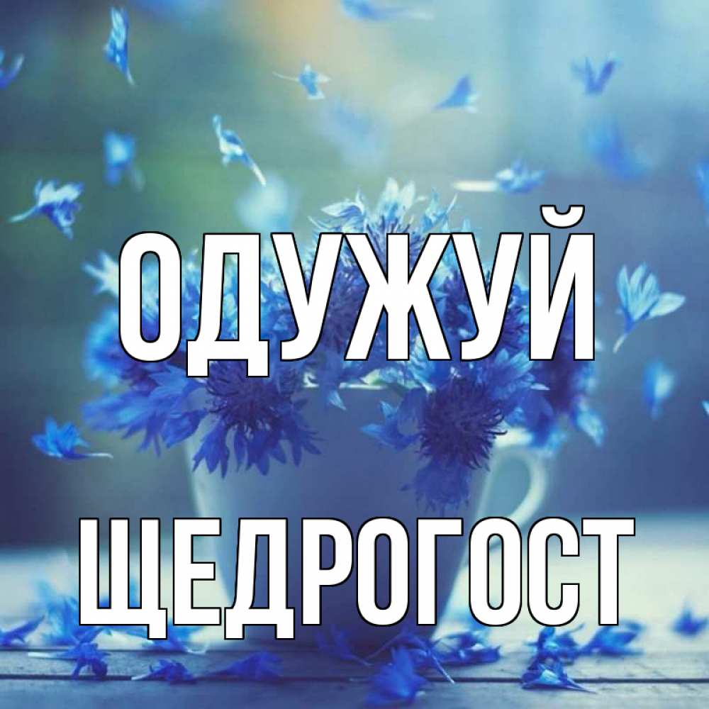 Открытка на каждый день з підписом, Щедрогост Одужуй кружка с зельем и цветами Прикольна листівка з побажанням онлайн скачати безкоштовно 