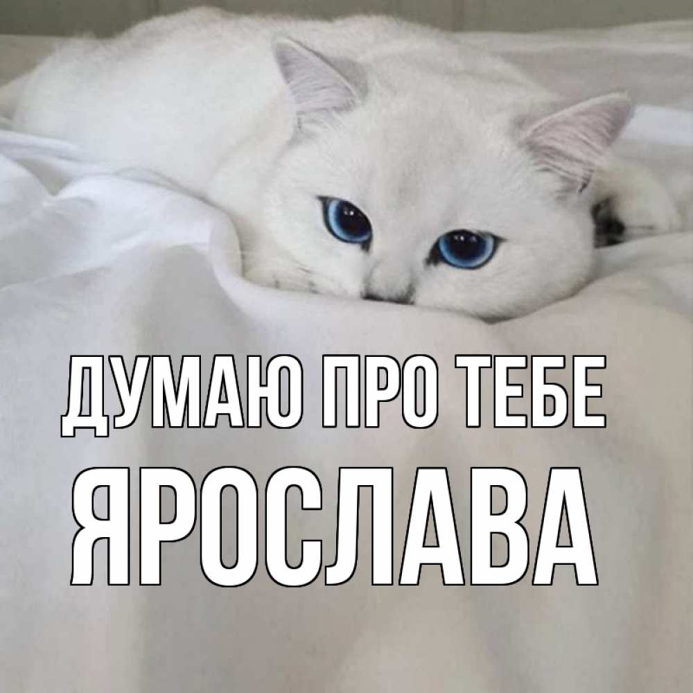 Открытка на каждый день з підписом, Ярослава Думаю про тебе я очень по тебе скучаю и тоскую Прикольна листівка з побажанням онлайн скачати безкоштовно 