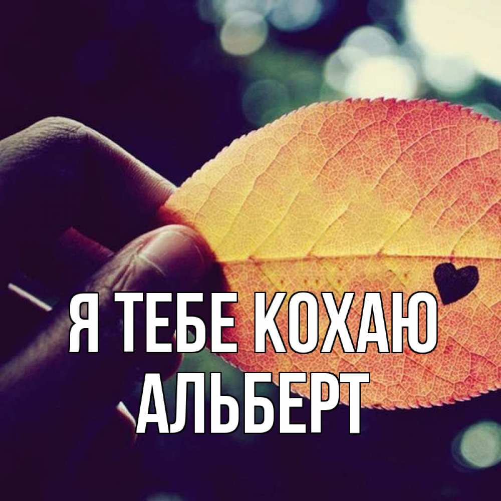 Открытка на каждый день з підписом, Альберт Я тебе кохаю держу лист Прикольна листівка з побажанням онлайн скачати безкоштовно 