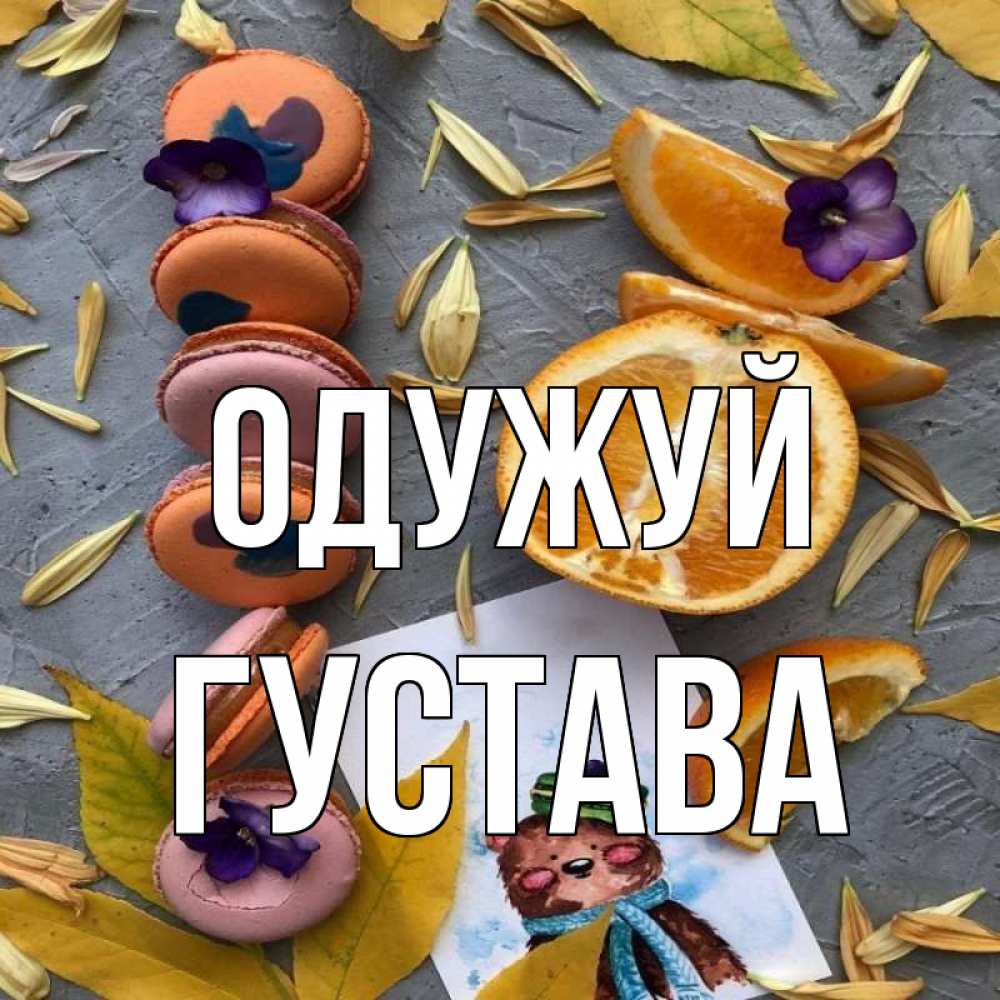 Открытка на каждый день з підписом, Густава Одужуй не болейте Прикольна листівка з побажанням онлайн скачати безкоштовно 
