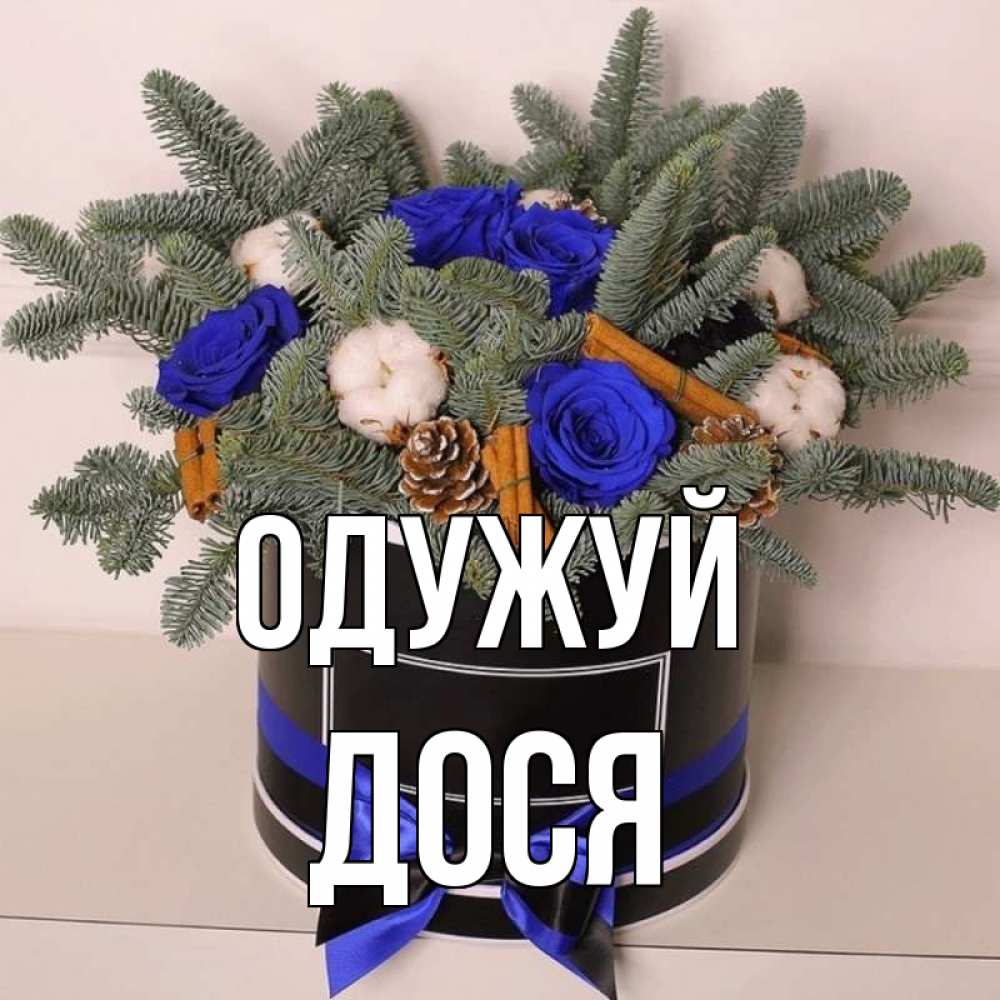 Открытка на каждый день з підписом, Дося Одужуй короче кто то загрузил эти шишки Прикольна листівка з побажанням онлайн скачати безкоштовно 
