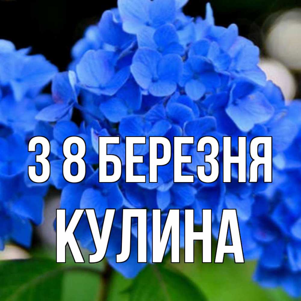 Открытка на каждый день з підписом, Кулина З 8 БЕРЕЗНЯ синие цветы Прикольна листівка з побажанням онлайн скачати безкоштовно 