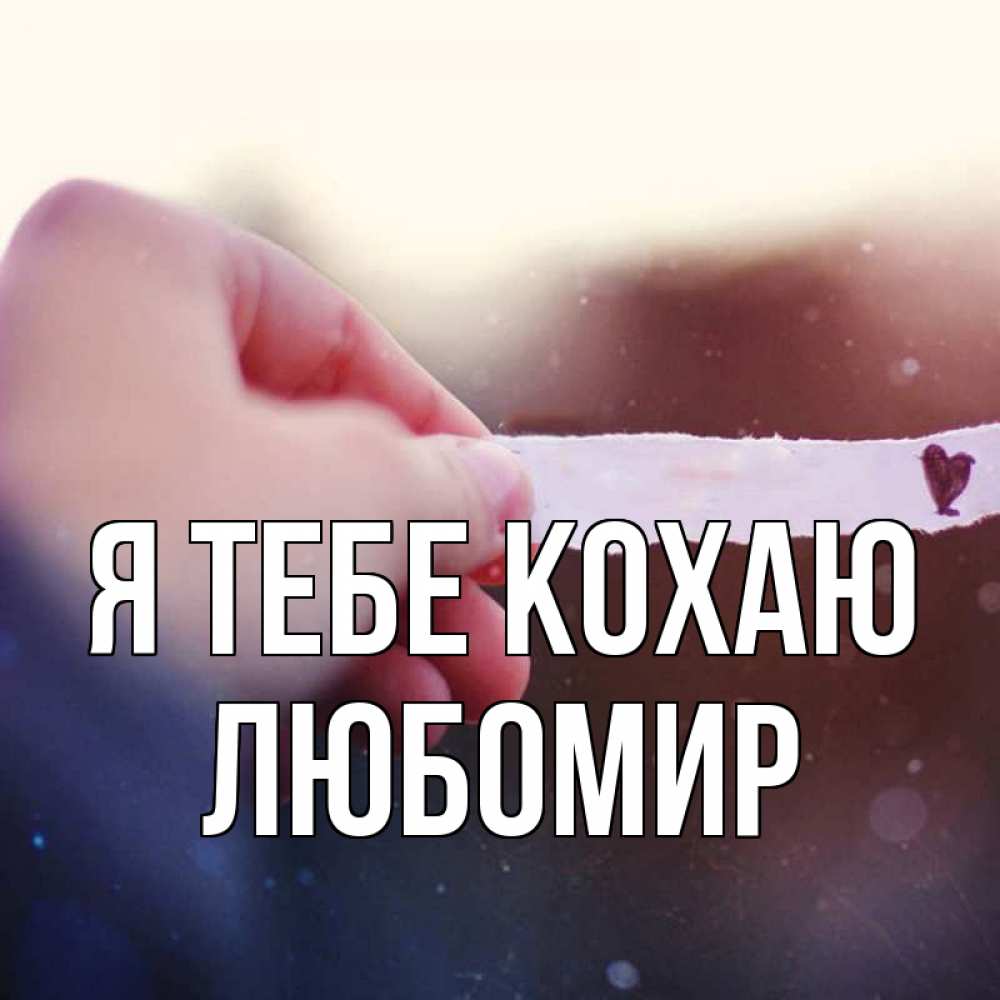 Открытка на каждый день з підписом, Любомир Я тебе кохаю для тебя Прикольна листівка з побажанням онлайн скачати безкоштовно 