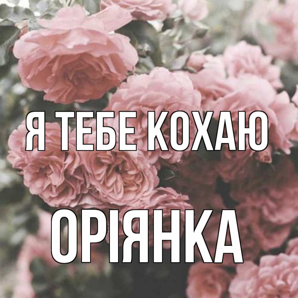 Открытка на каждый день з підписом, Оріянка Я тебе кохаю розы 3 Прикольна листівка з побажанням онлайн скачати безкоштовно 