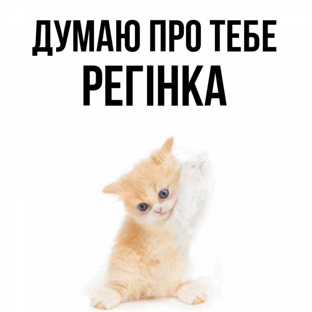 Открытка на каждый день з підписом, Регінка Думаю про тебе зверушки и милота Прикольна листівка з побажанням онлайн скачати безкоштовно 