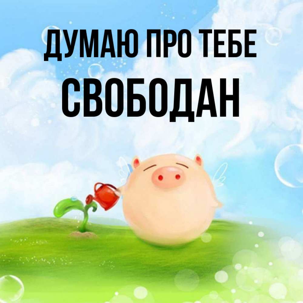 Открытка на каждый день з підписом, Свободан Думаю про тебе позитивная свинюшка Прикольна листівка з побажанням онлайн скачати безкоштовно 