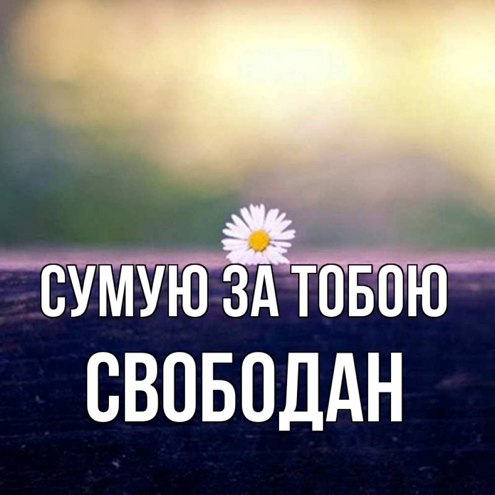 Открытка на каждый день з підписом, Свободан Сумую за тобою приходи в гости Прикольна листівка з побажанням онлайн скачати безкоштовно 