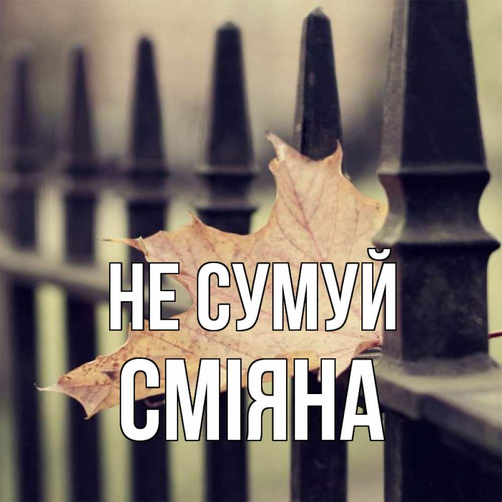 Открытка на каждый день з підписом, Сміяна Не сумуй лист клена Прикольна листівка з побажанням онлайн скачати безкоштовно 