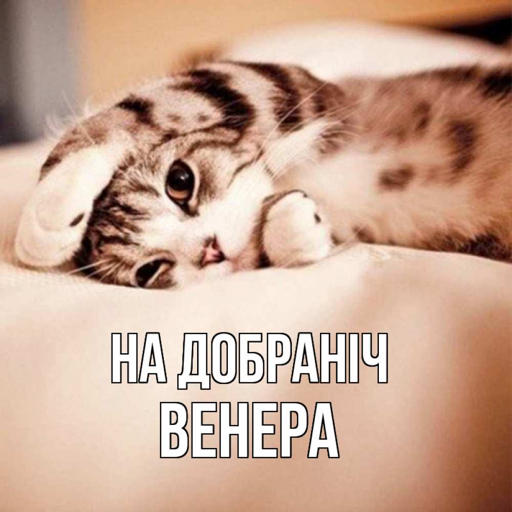 Открытка на каждый день з підписом, Венера На добраніч сладких снов с животными Прикольна листівка з побажанням онлайн скачати безкоштовно 