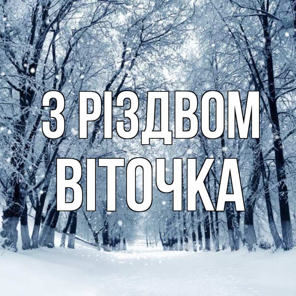 Открытка на каждый день з підписом, Віточка З Різдвом снег, лес, парк Прикольна листівка з побажанням онлайн скачати безкоштовно 