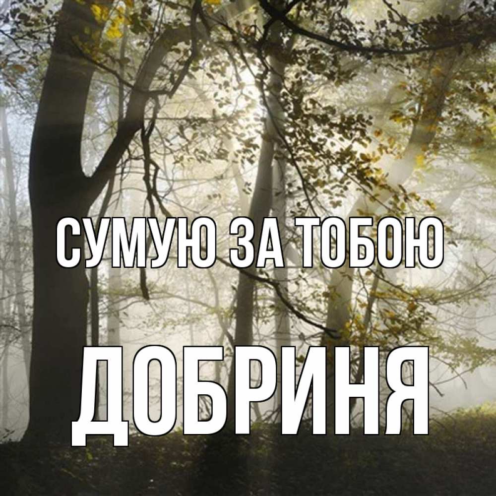 Открытка на каждый день з підписом, Добриня Сумую за тобою грустно Прикольна листівка з побажанням онлайн скачати безкоштовно 