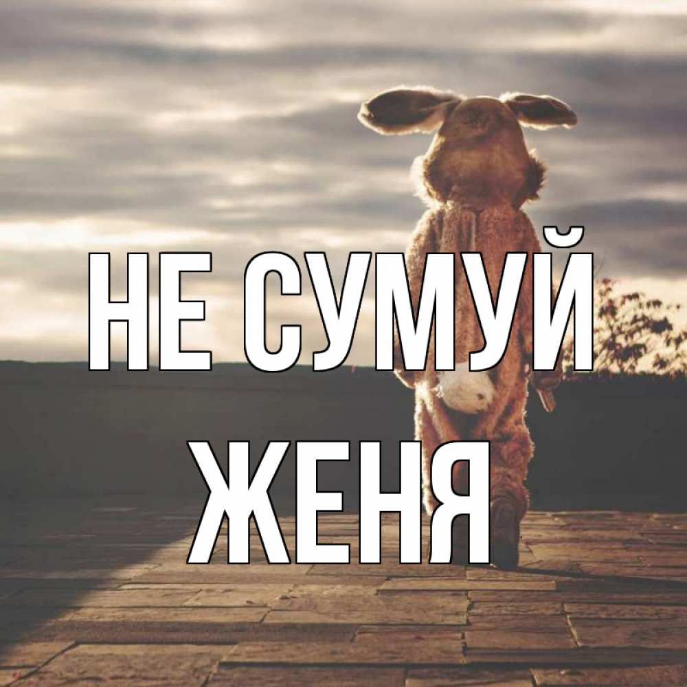 Открытка на каждый день з підписом, Женя Не сумуй со спины Прикольна листівка з побажанням онлайн скачати безкоштовно 