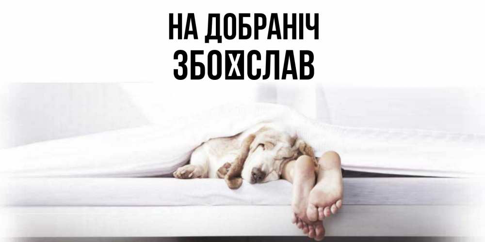 Открытка на каждый день з підписом, Збоїслав На добраніч кровать с собакой пожелание сладких снов и спокойной ночи Прикольна листівка з побажанням онлайн скачати безкоштовно 