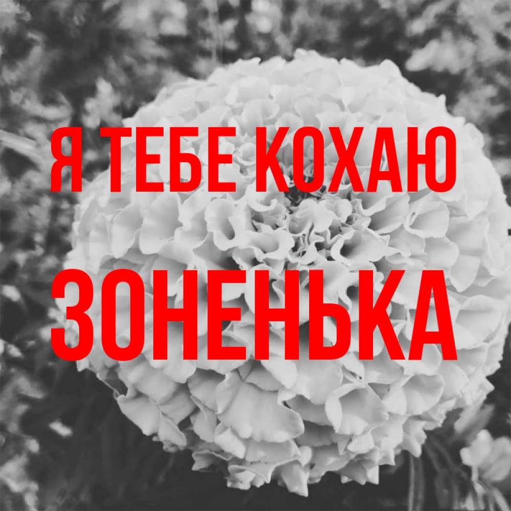 Открытка на каждый день з підписом, Зоненька Я тебе кохаю подпись Прикольна листівка з побажанням онлайн скачати безкоштовно 