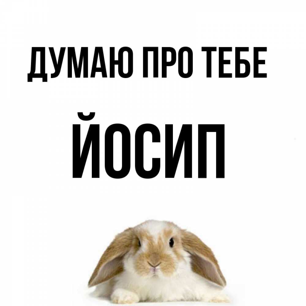 Открытка на каждый день з підписом, Йосип Думаю про тебе подписать своими руками онлайн Прикольна листівка з побажанням онлайн скачати безкоштовно 