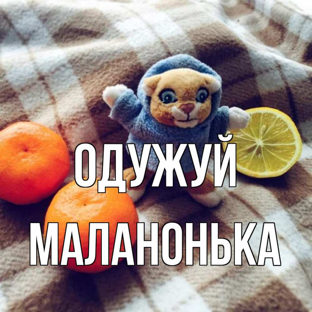 Открытка на каждый день з підписом, Маланонька Одужуй вот тебе апельсинка и лимон Прикольна листівка з побажанням онлайн скачати безкоштовно 