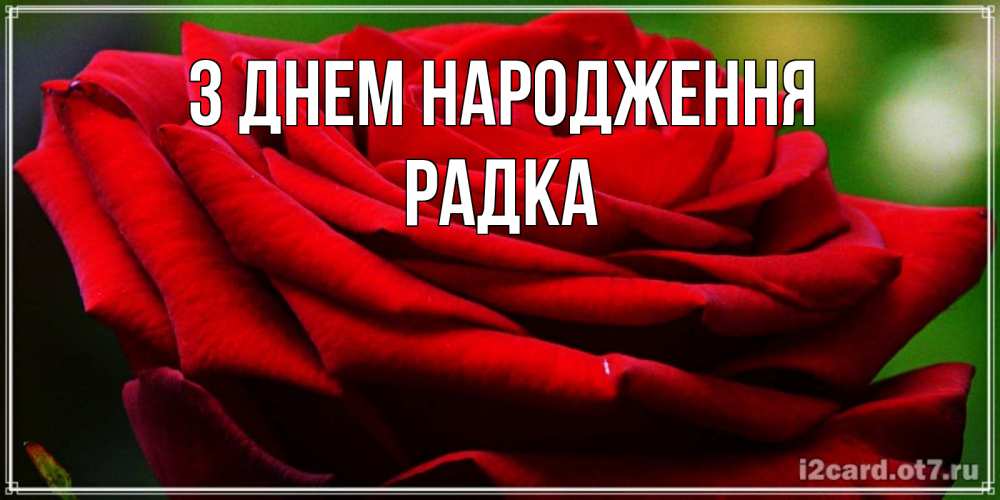 Открытка на каждый день з підписом, Радка З Днем народження розочка очень красивая Прикольна листівка з побажанням онлайн скачати безкоштовно 