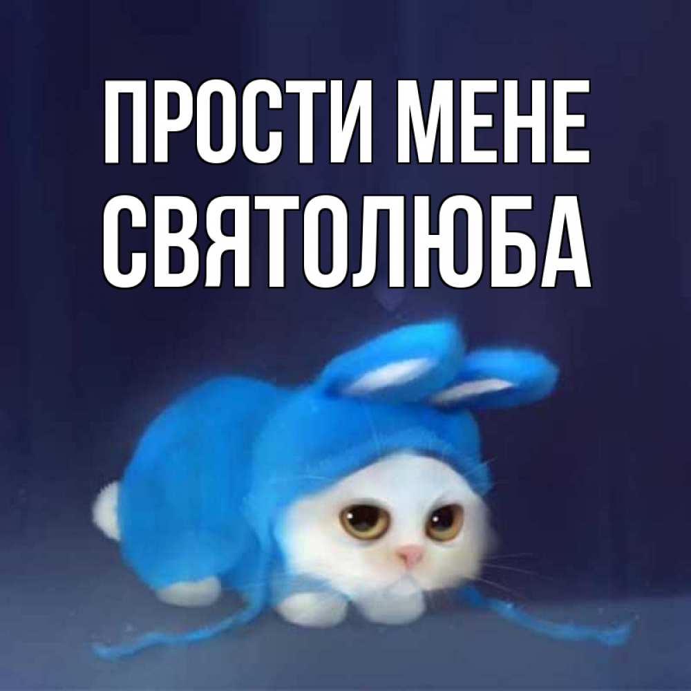 Открытка на каждый день з підписом, Святолюба Прости мене невинный котозай просит прощения Прикольна листівка з побажанням онлайн скачати безкоштовно 