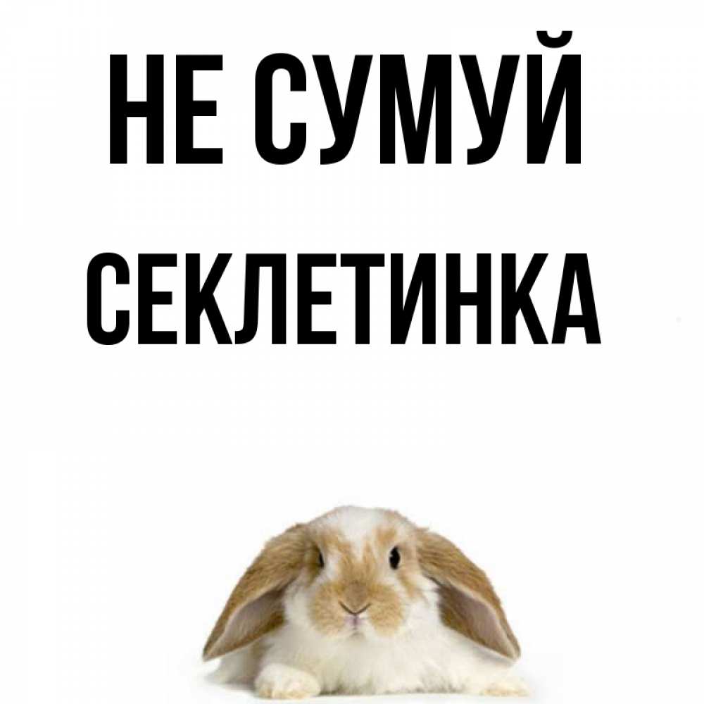 Открытка на каждый день з підписом, Секлетинка Не сумуй коричнево белый заяц с большими ушками Прикольна листівка з побажанням онлайн скачати безкоштовно 