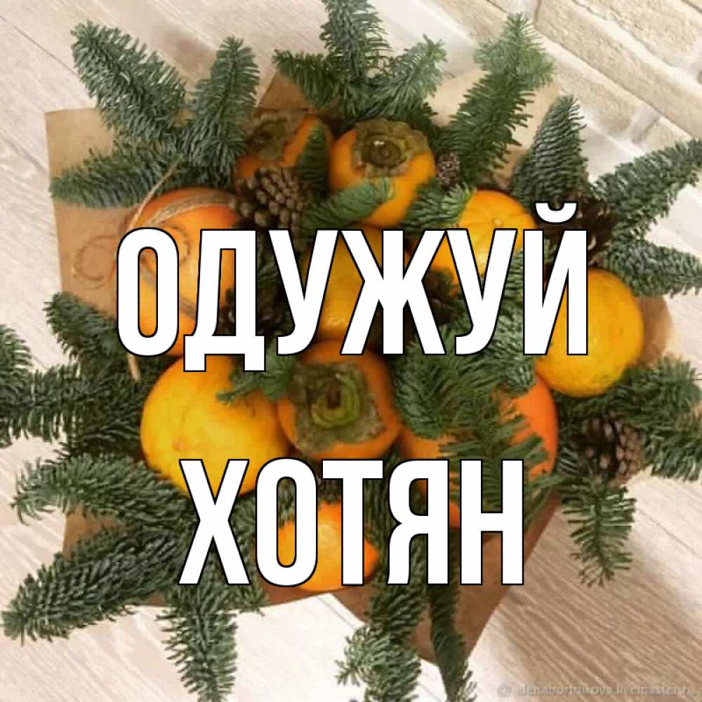 Открытка на каждый день з підписом, Хотян Одужуй апельсины и хурьма Прикольна листівка з побажанням онлайн скачати безкоштовно 